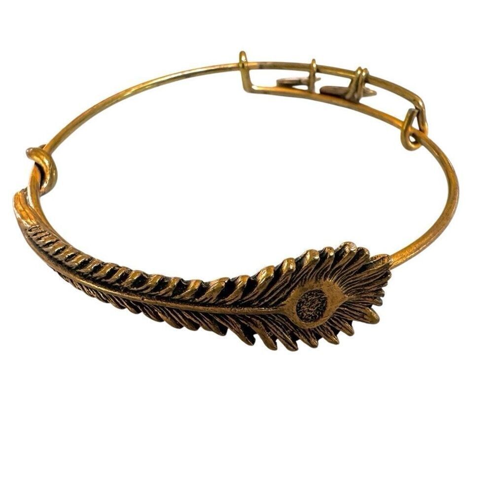Alex and Ani gold bangle - eye of phoenix feather